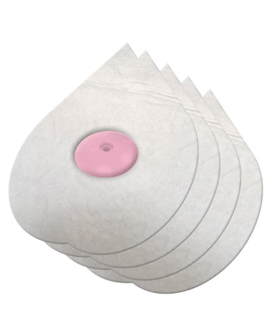 Absorbant Surface BWT (x4) | Piscine Propre Absorbant Surface BWT (x4) | Piscine Propre