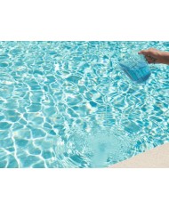 Traitement anti-algues - Desalgin® CLASSIC - 3 L