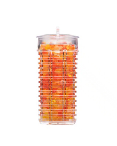 Perles parfumées pour SPA - Detoxification Perles parfumées pour SPA - Detoxification