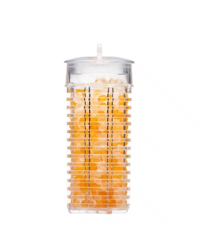 Perles parfumées pour SPA - Honey mango Perles parfumées pour SPA - Honey mango